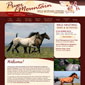 pryor_mountain_wild_mustang_center_website