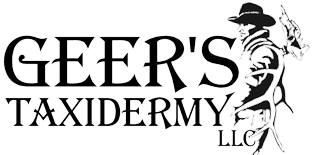 Geers Taxidermy logo