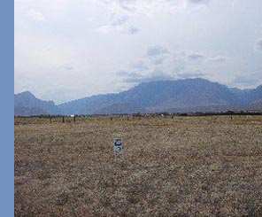 cody_country_land_land_10001631