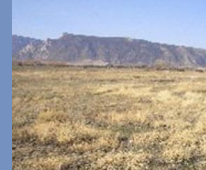 cody_country_land_proprety_10002339