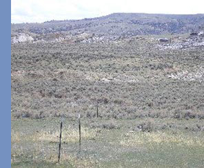 cody_country_land_land_10002442