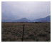 property image4