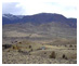 cody_country_land_property_600s_1