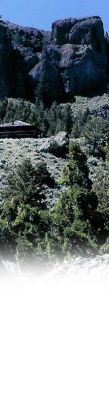 realtors cody wyoming