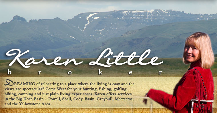 karen little frontier realty meeteetse wyoming realtor realty property for sale cody wy